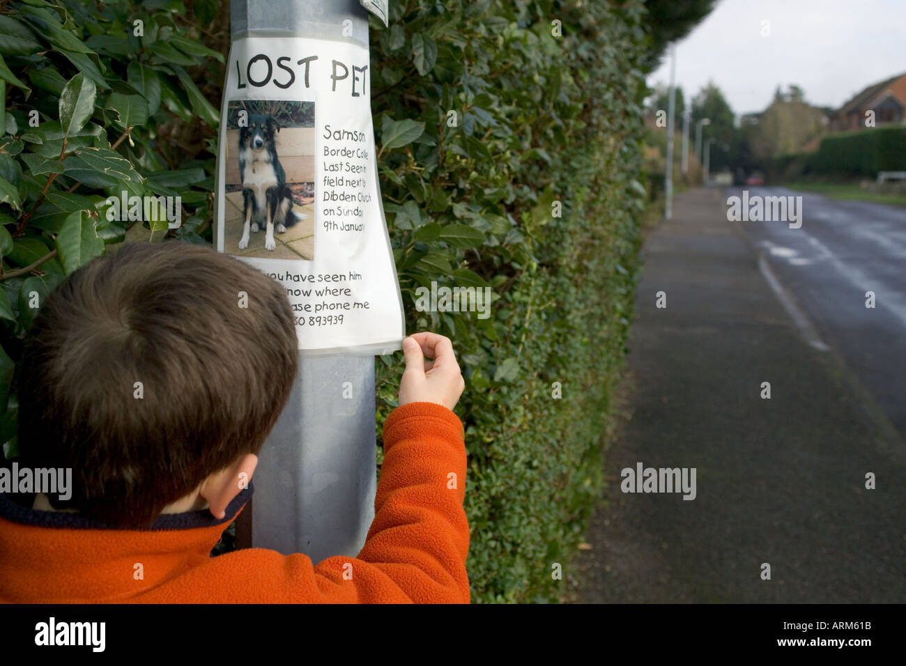 Lost Pet poster of a dog being attached to lamp post by young boy Stock