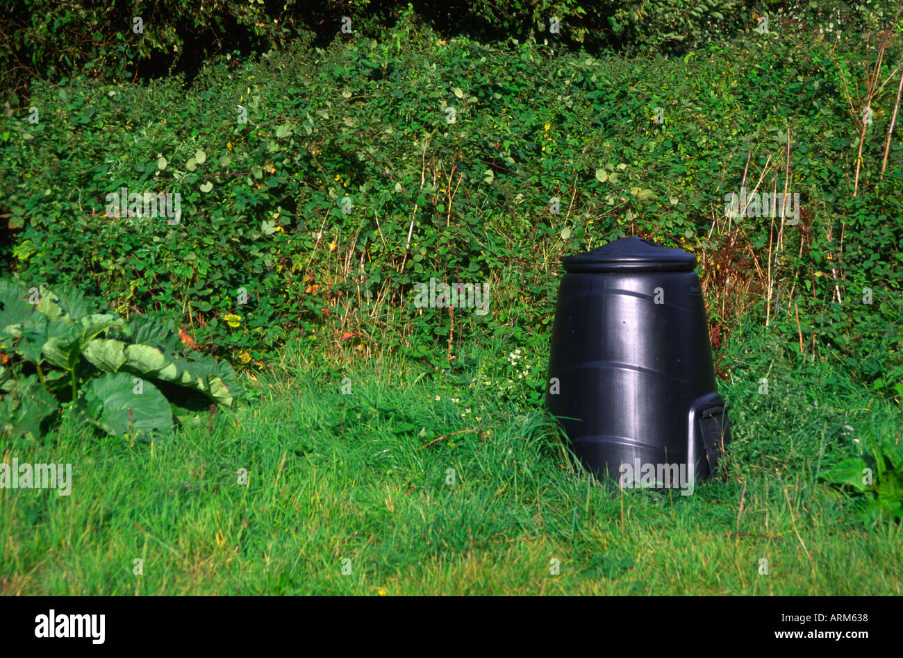 Black compost bin in garden corner Stock Photo Alamy
