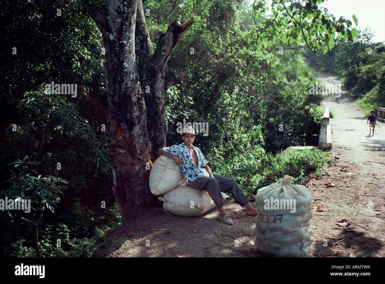 Boy waits along roadside with bags of peanuts, on the outskirts of El Cadillar, Dominican Republic, Central America Stock Photo