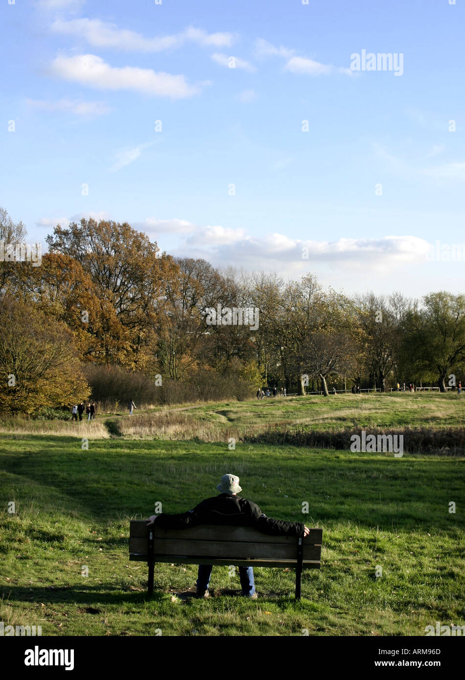 Bench heath london man hi-res stock photography and images - Alamy