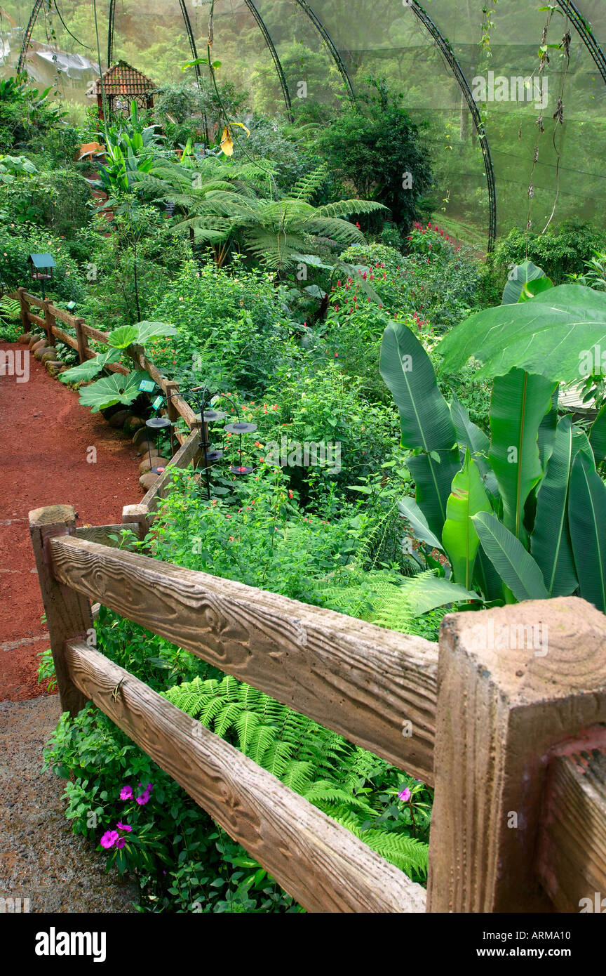 The Butterfly Observatory is the largest in the world La Paz Waterfall