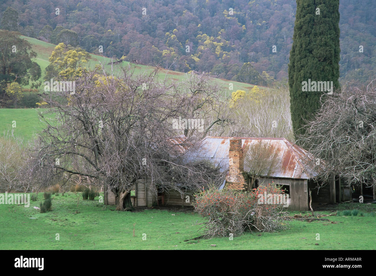 Farm, Upper Blessington, Tasmania, Australia, Pacific Stock Photo Alamy