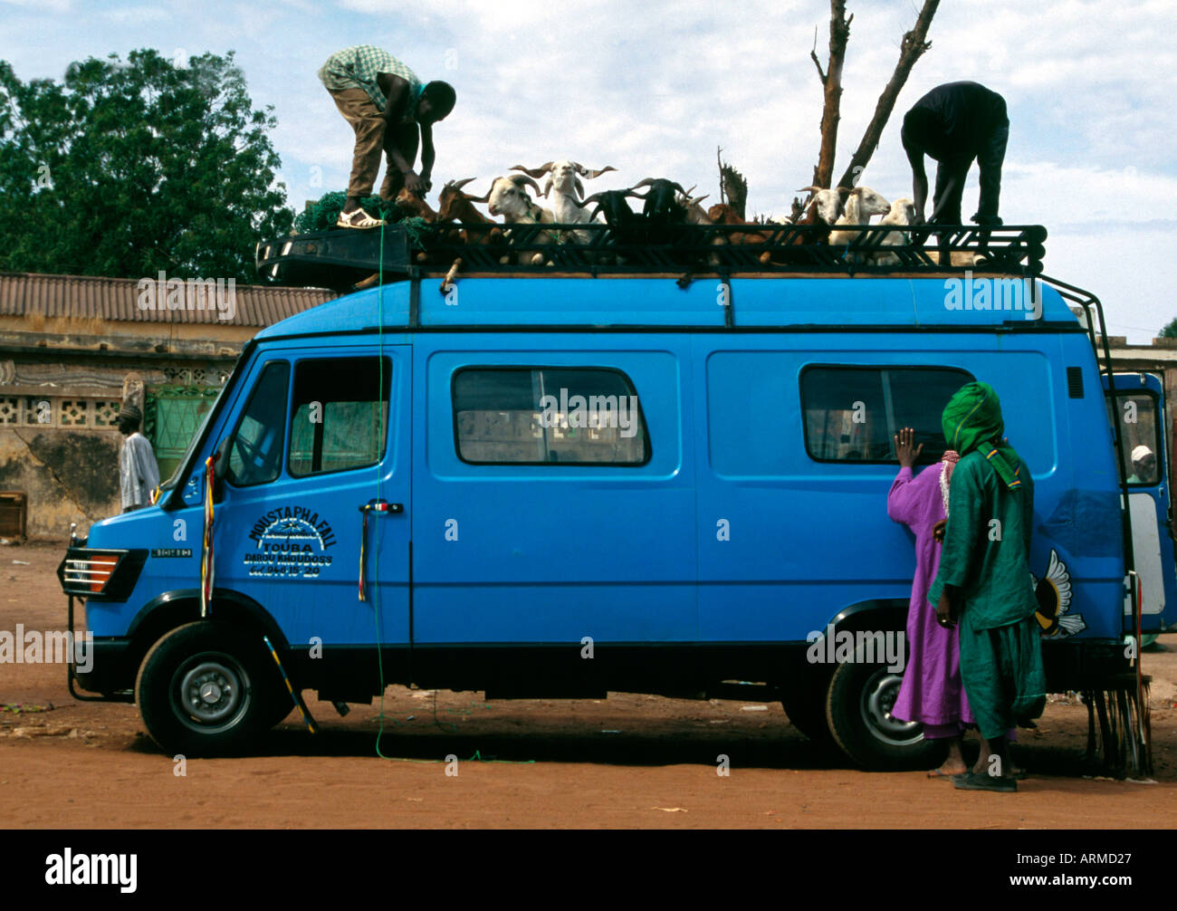 Senegalese van transporting goats Stock Photo Alamy