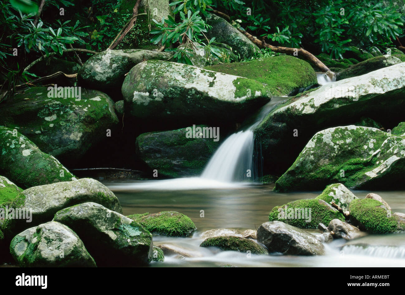Cascade, Great Smoky Mountains National Park, UNESCO World Heritage