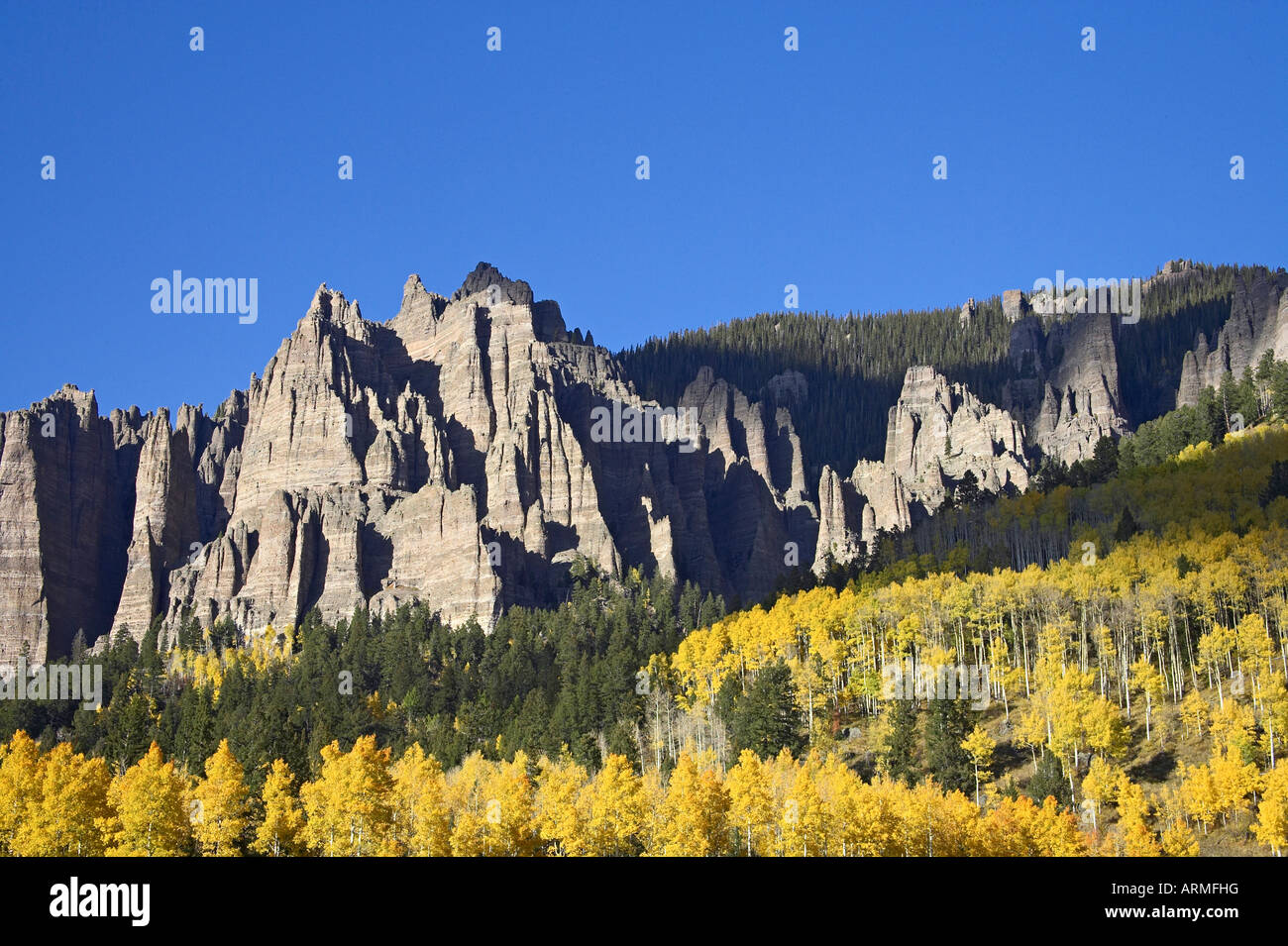 Aspens in fall colors with mountains and evergreens, near Silver Jack, Uncompahgre National Forest, Colorado, USA, North America Stock Photo