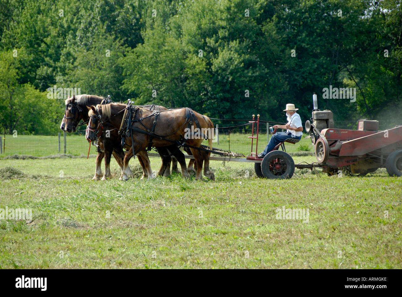 Amish of Michigan located in the farmland near Lexington Michigan Stock