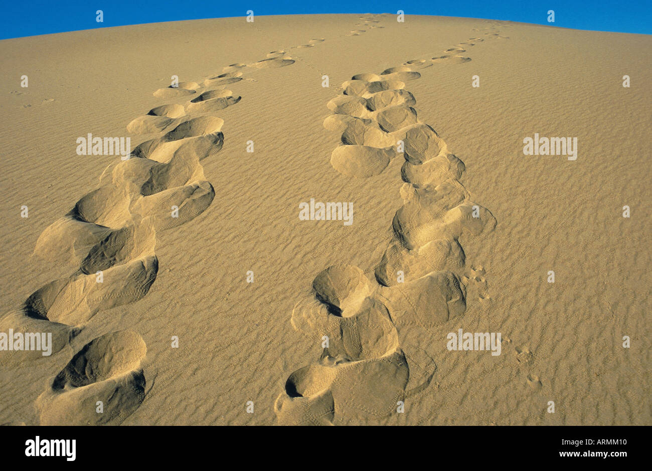 footsteps in the desert, death valley, USA, California Stock Photo