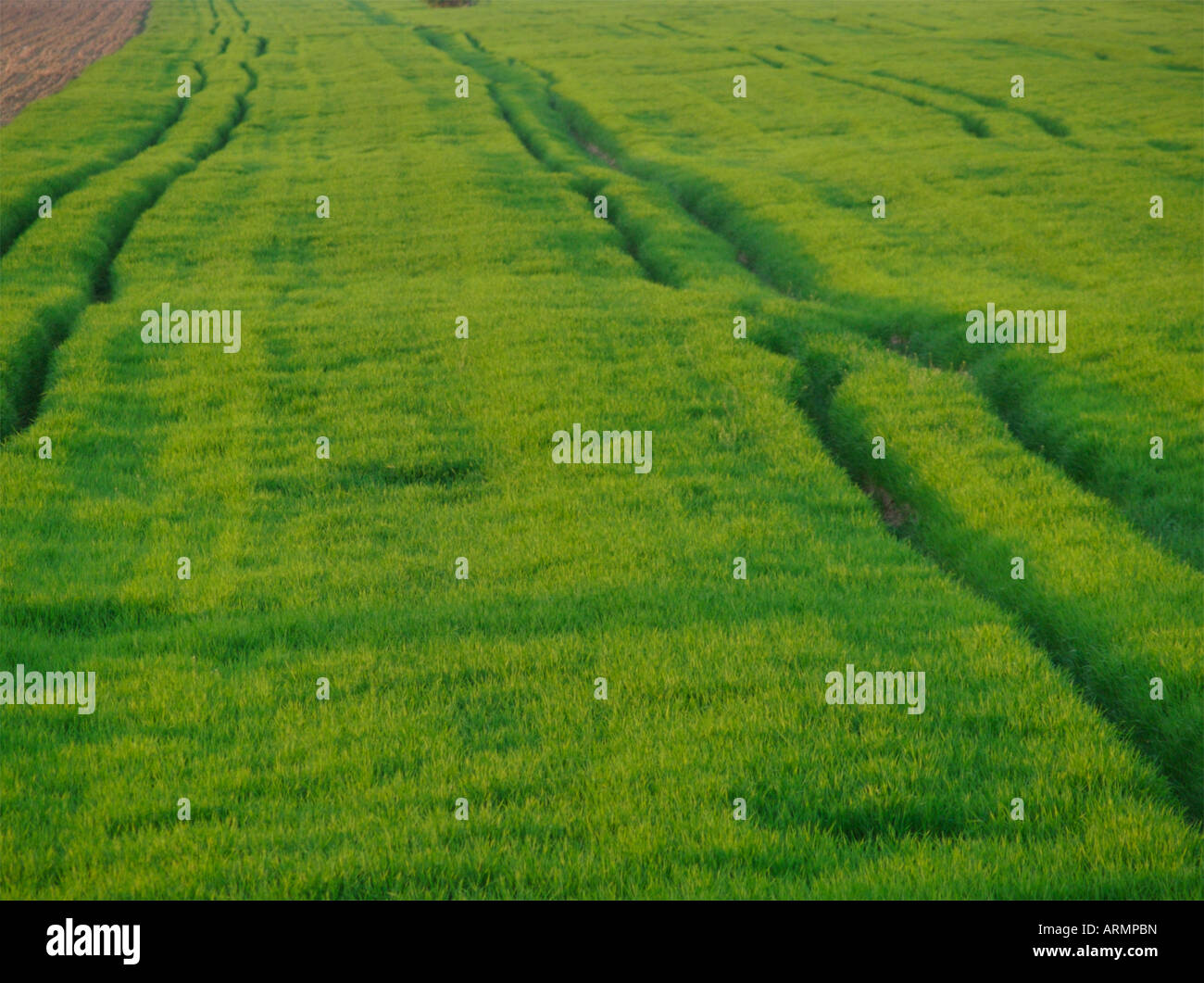 Beautiful rolling farmland Stock Photo Alamy