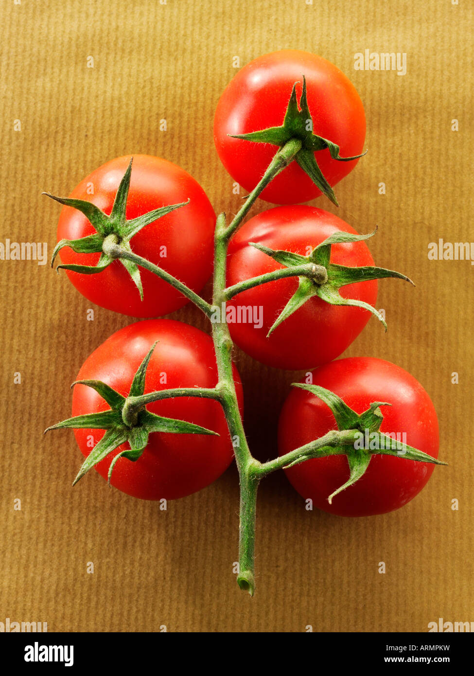 Fresh organic tomatoes on the vine Stock Photo
