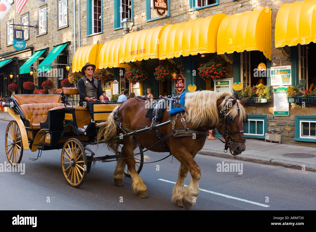 Horse drawn carriage along rue St. Louis, Quebec City, Quebec, Canada