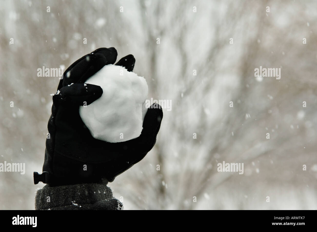 Person throwing snowball Stock Photo - Alamy