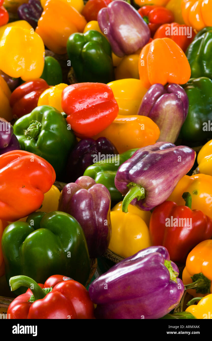 Jean Talon Market, fresh peppers, Montreal, Quebec, Canada Stock Photo -  Alamy