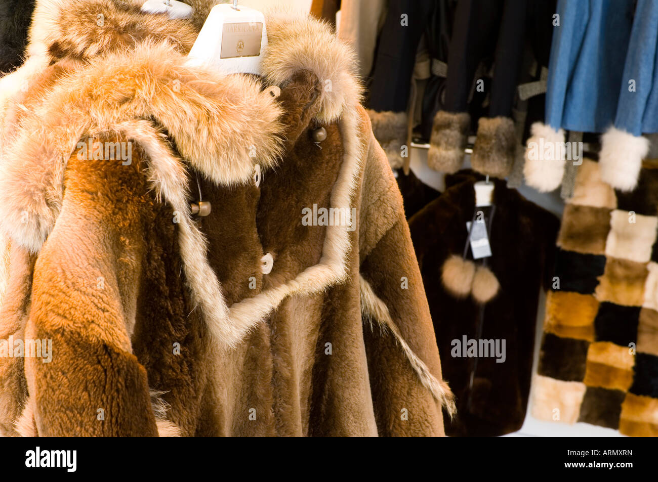 Fur clothing in display in store, Montreal, Quebec, Canada Stock Photo ...
