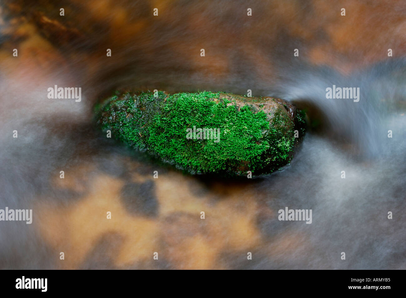 mossy stone, surrounded with flowing water, May. Stock Photo