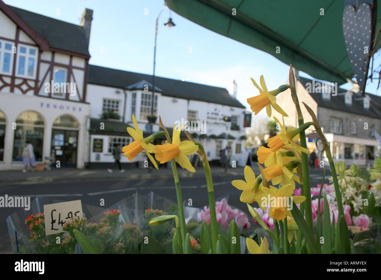 Daffodils Outside Flower Shop Cowbridge Stock Photo Alamy