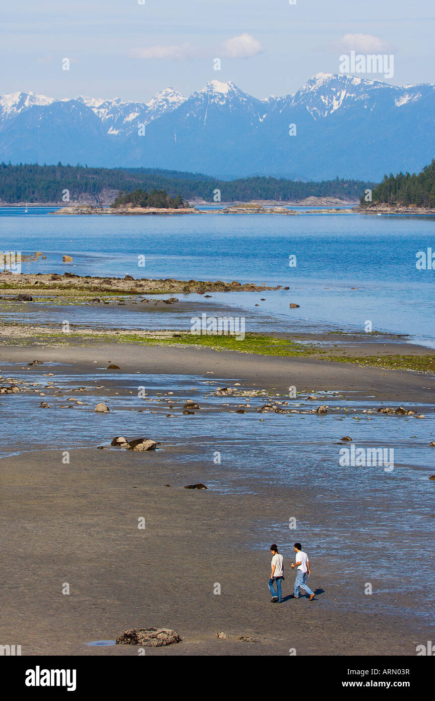 Seashore at Hollyhock educational retreat center, Coast Range Mountains in distance, Cortes Island, Britsh Columbia, Canada. Stock Photo