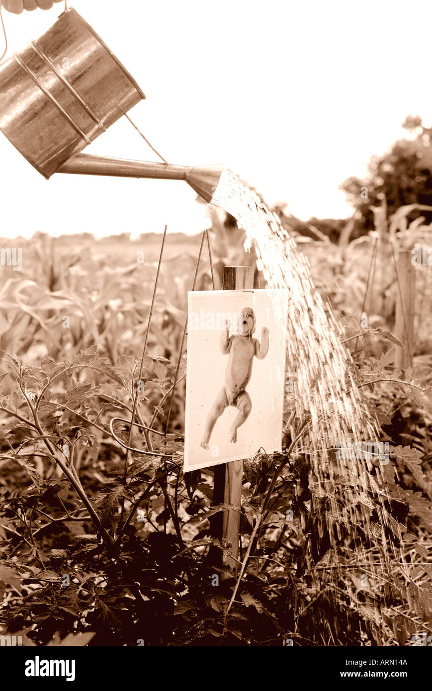 watering can garden Stock Photo