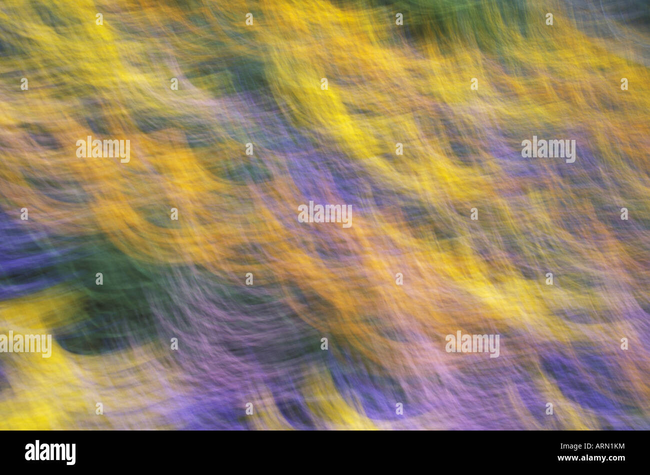 Motion blur of flower garden background hires stock photography and
