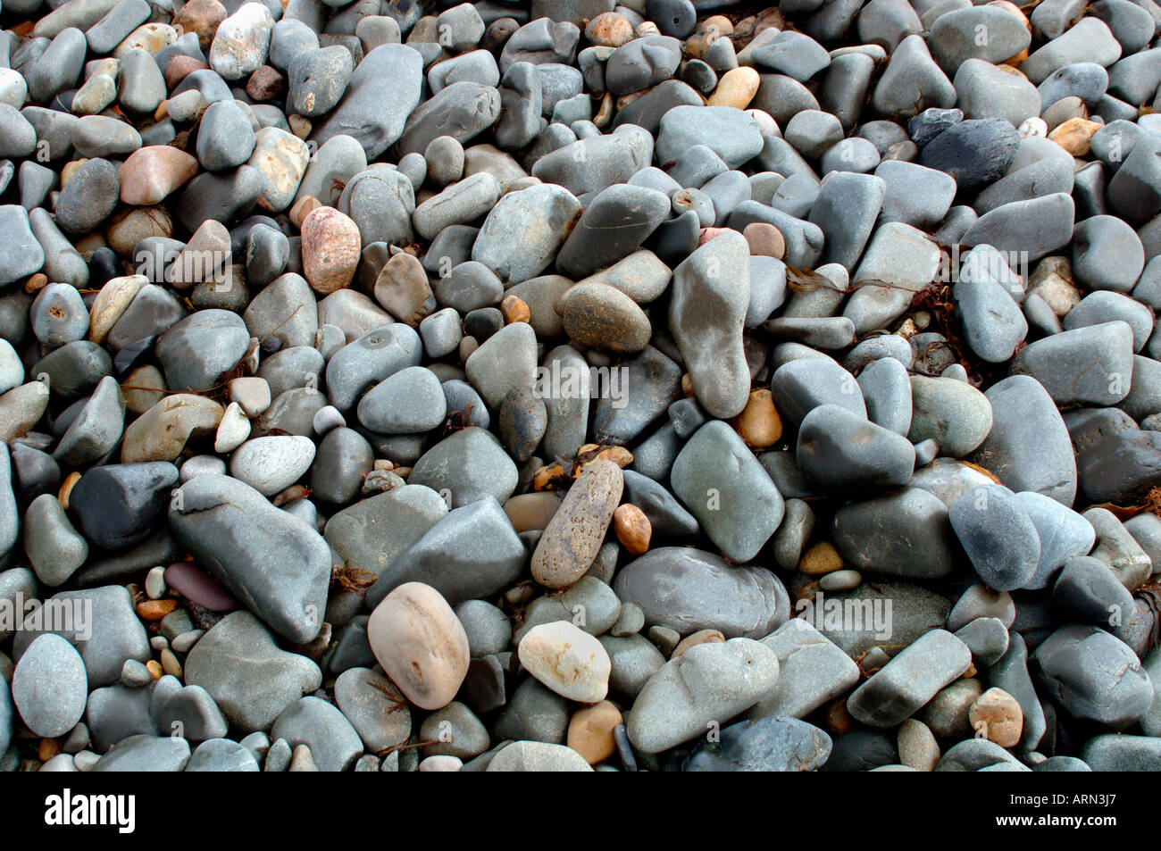 Pebbles On A Beach Stock Photo - Alamy