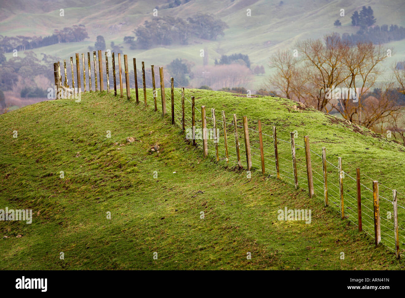 Fence posts on hilltop hawkes bay new zealand Stock Photo Alamy