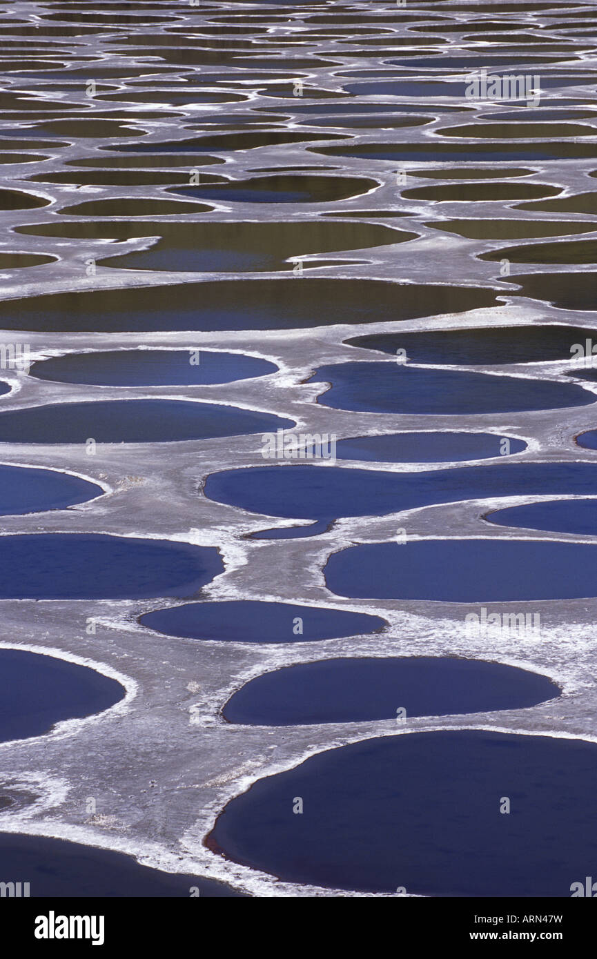 Spotted lake South Okanagan, British Columbia, Canada Stock Photo - Alamy