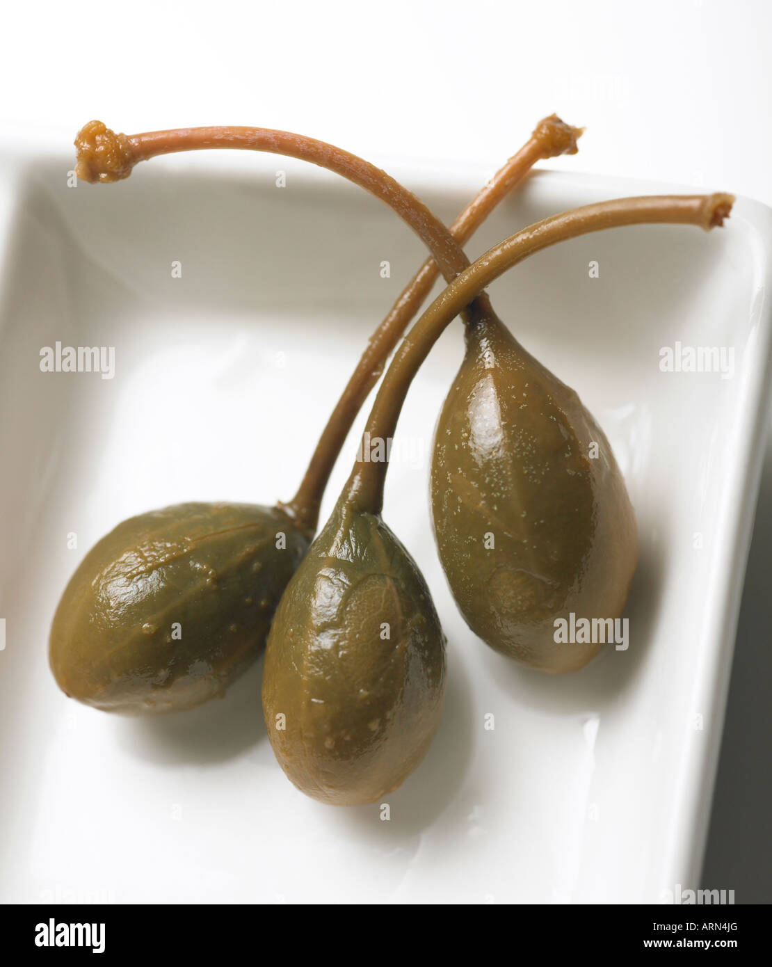 caper berries from plant Capparis spinosa in white square dish Stock Photo Alamy