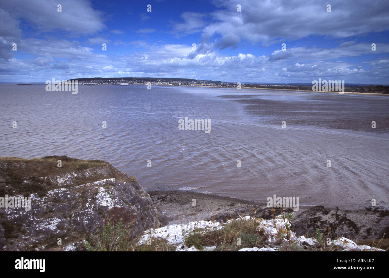 Weston Bay Weston Super Mare beach part of Severn Estuary protected area Stock Photo