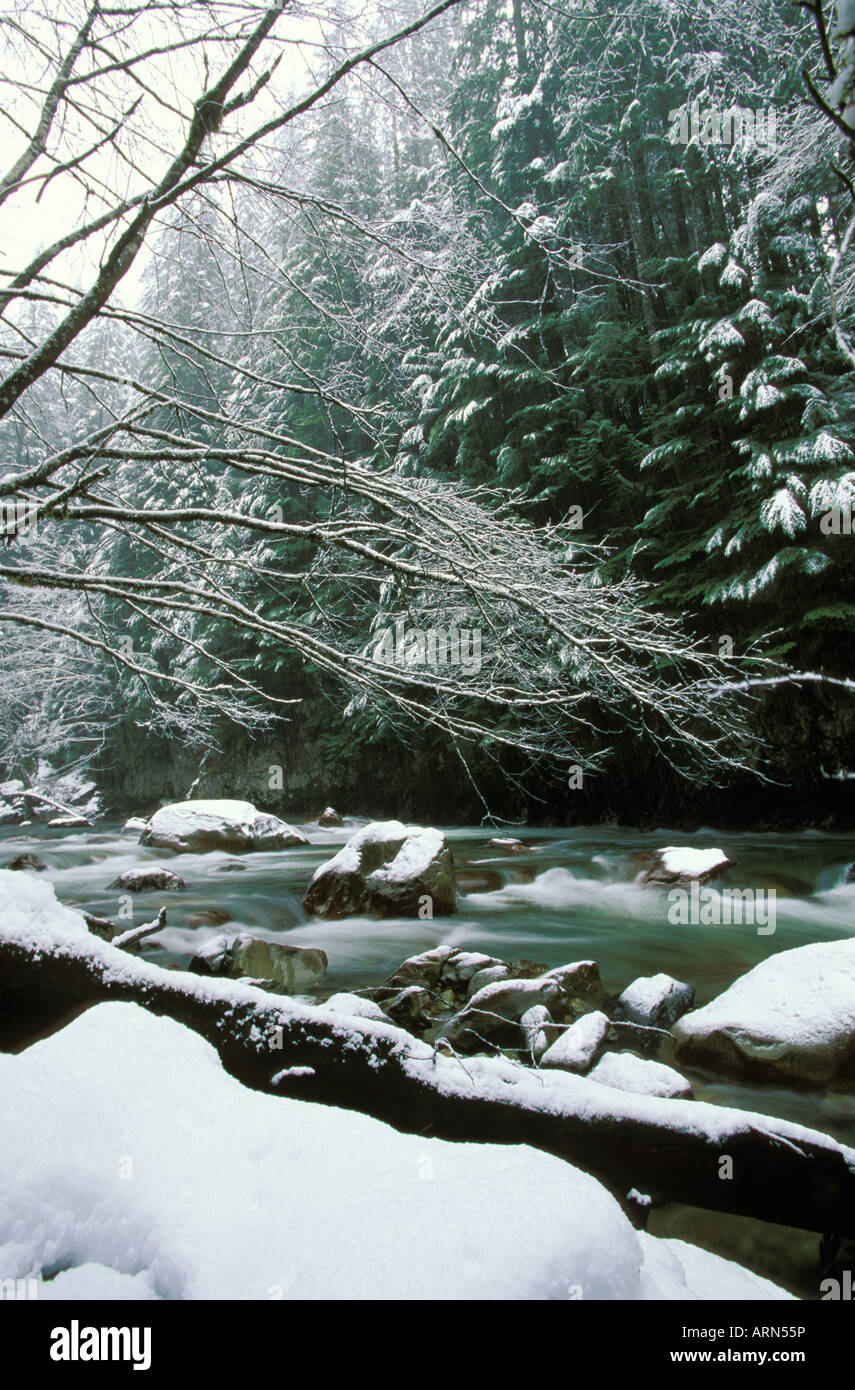 Tamahi creek flows from Cascade range, British Columbia, Canada. Stock Photo