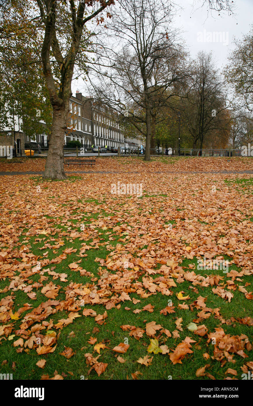 Highbury Fields in Highbury, London Stock Photo Alamy