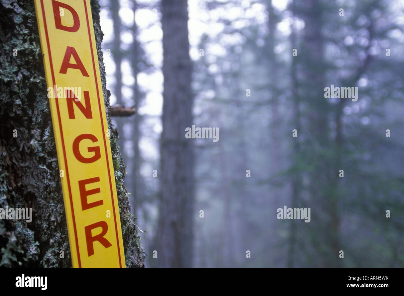Danger sign in the woods, British Columbia, Canada. Stock Photo