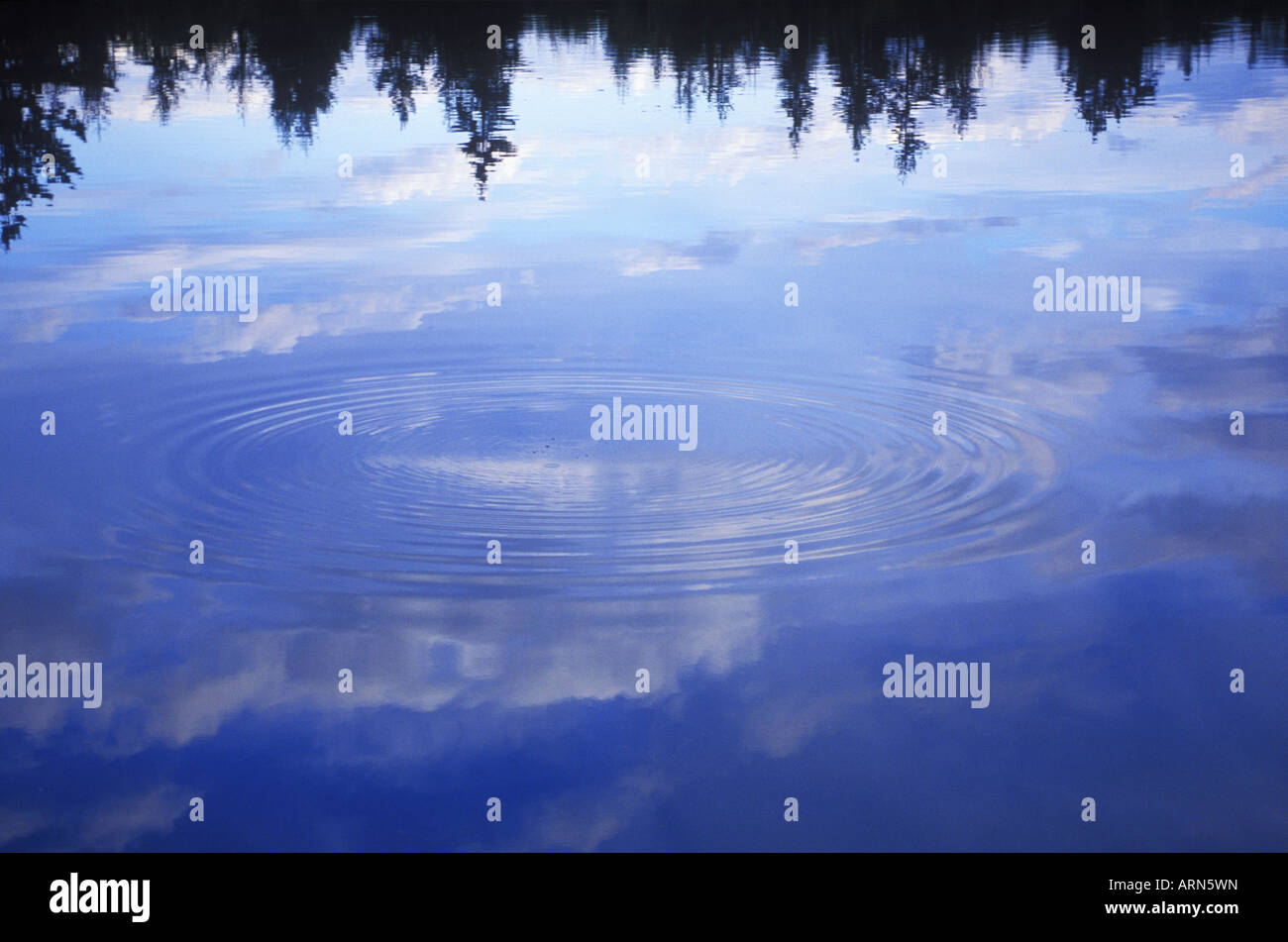 Ripples reflect hi-res stock photography and images - Alamy