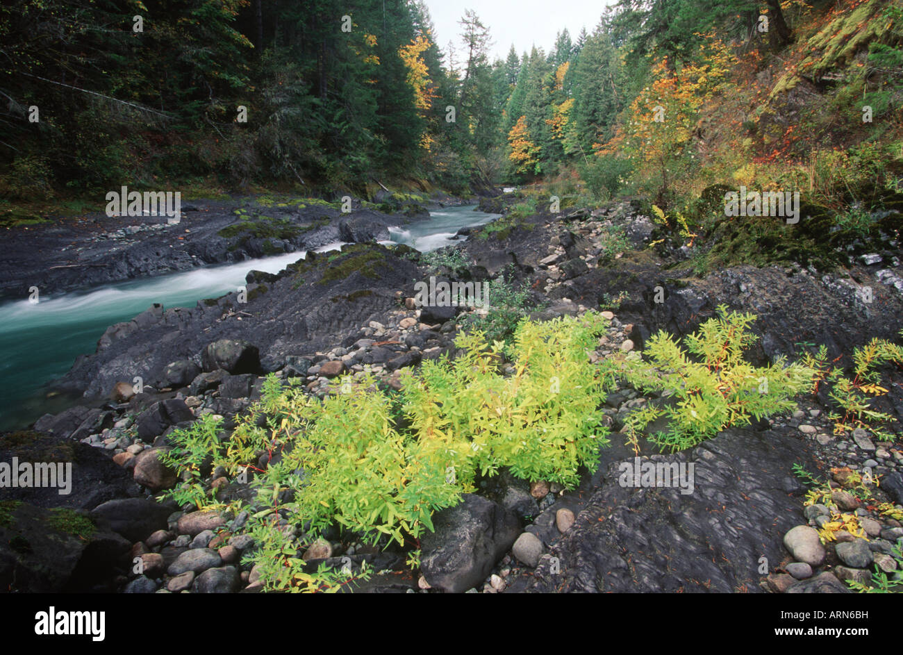 Cowichan River, Marie Canyon, Vancouver Island, British Columbia