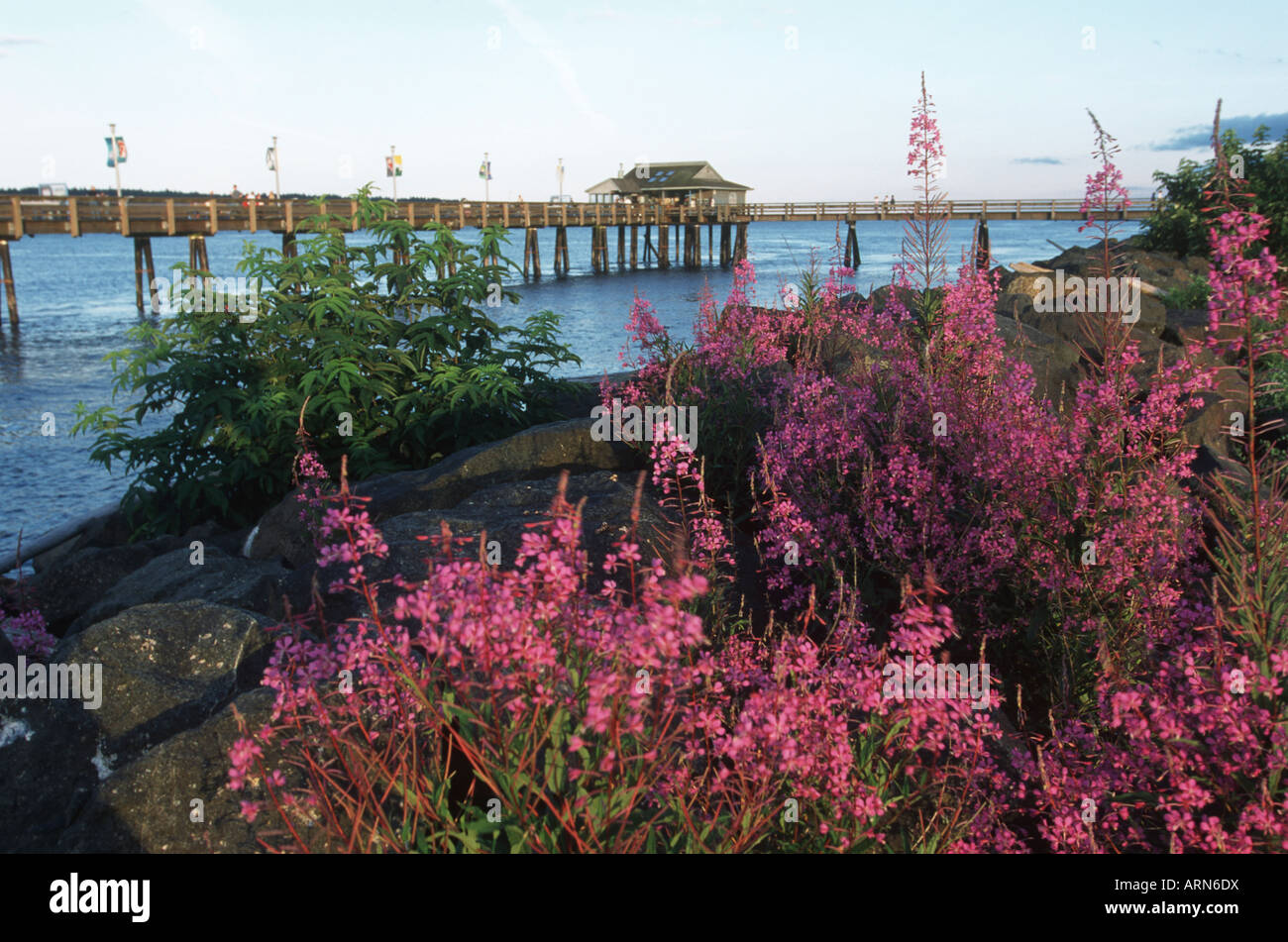 Campbell River’s Public fishing pier, Vancouver Island, British