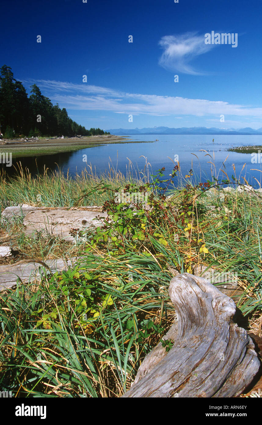 Oyster River estuary, Strait, Vancouver Island, British