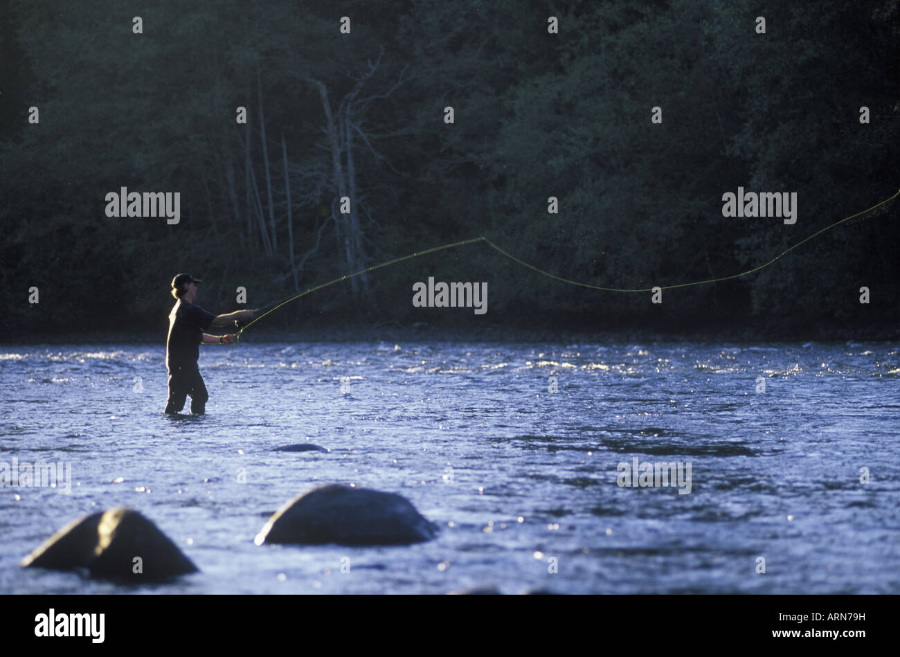 Campbell River, fly fishing, Vancouver Island, British Columbia, Canada  Stock Photo - Alamy