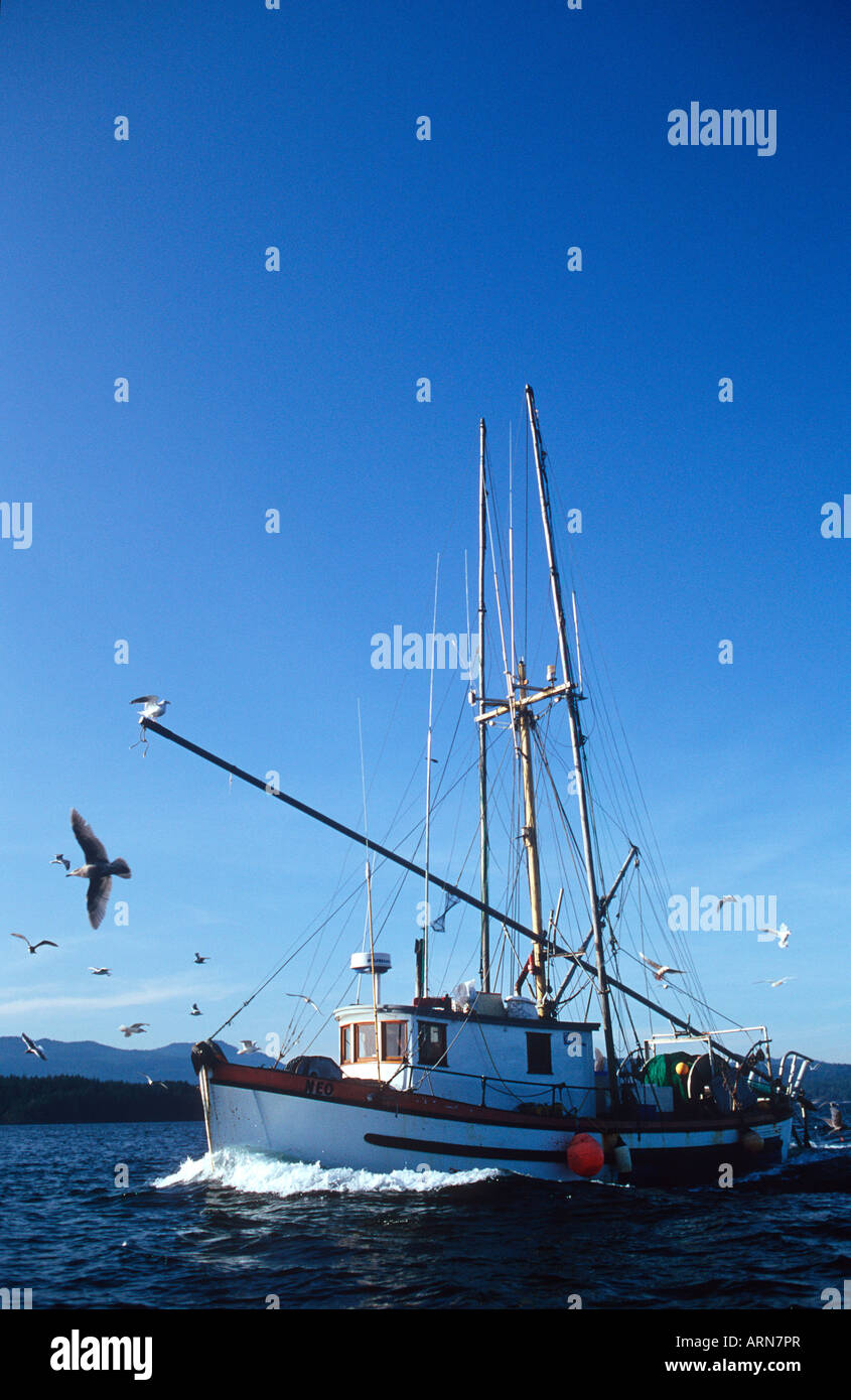 Gulf coast shrimp boats hi-res stock photography and images - Alamy