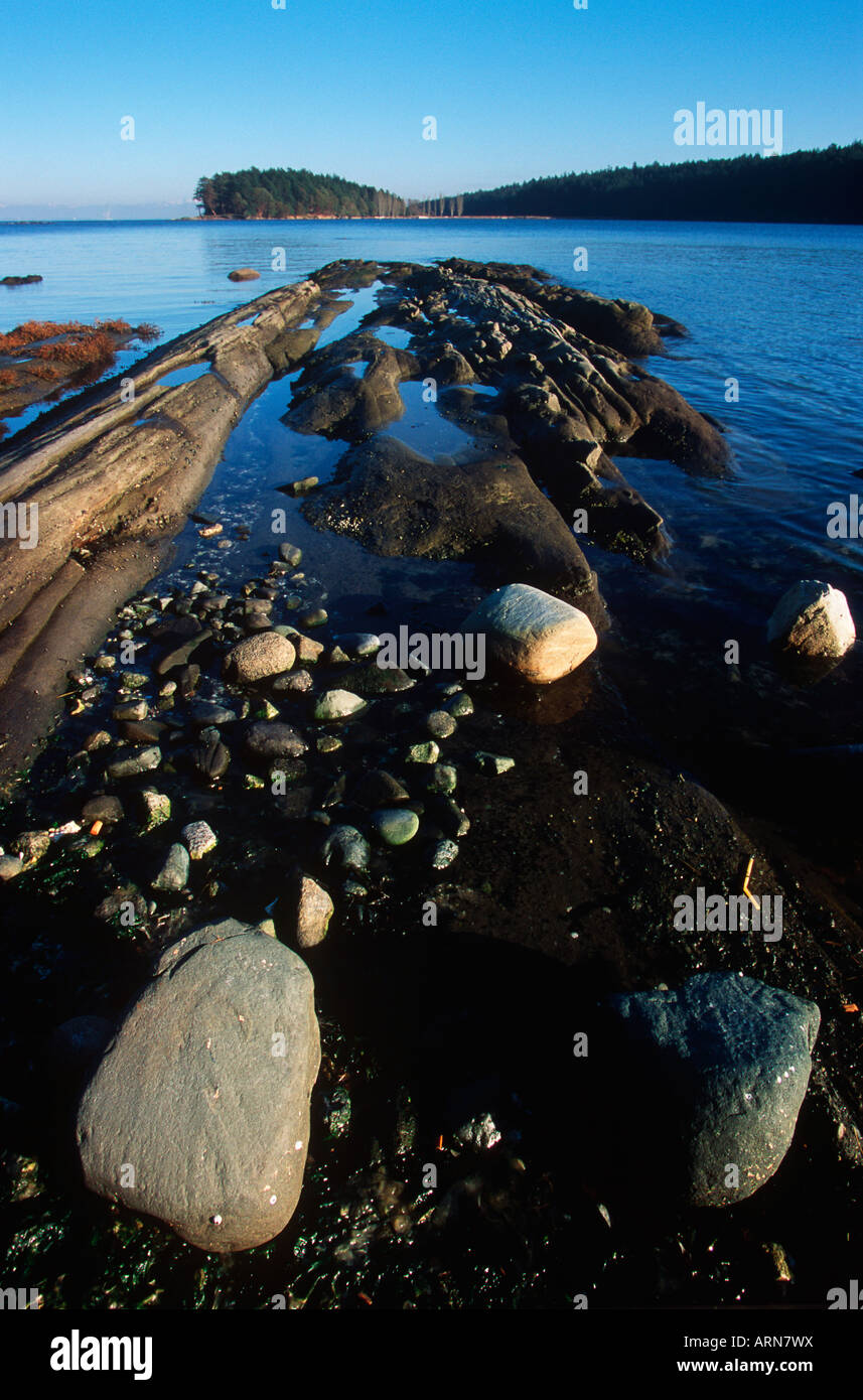 Cabbage island marine parks hires stock photography and images Alamy