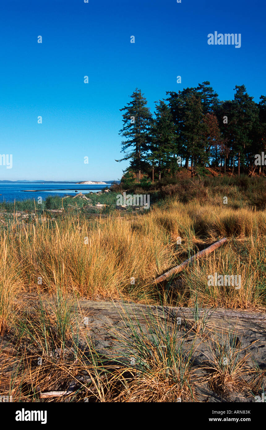 Sidney Spit , Gulf Islands National Park, British Columbia, Canada. Stock Photo