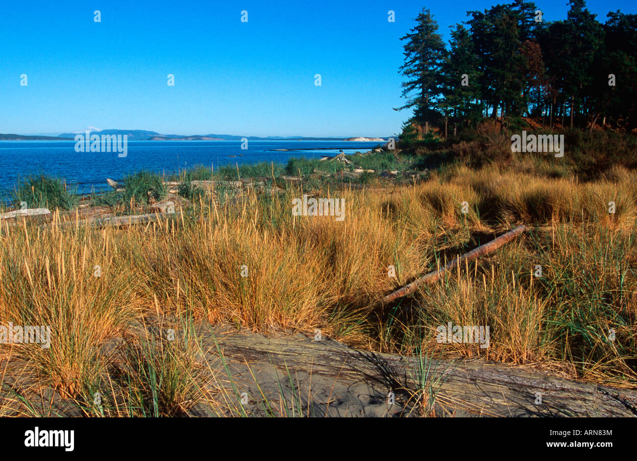 Sidney Spit , Gulf Islands National Park, British Columbia, Canada. Stock Photo