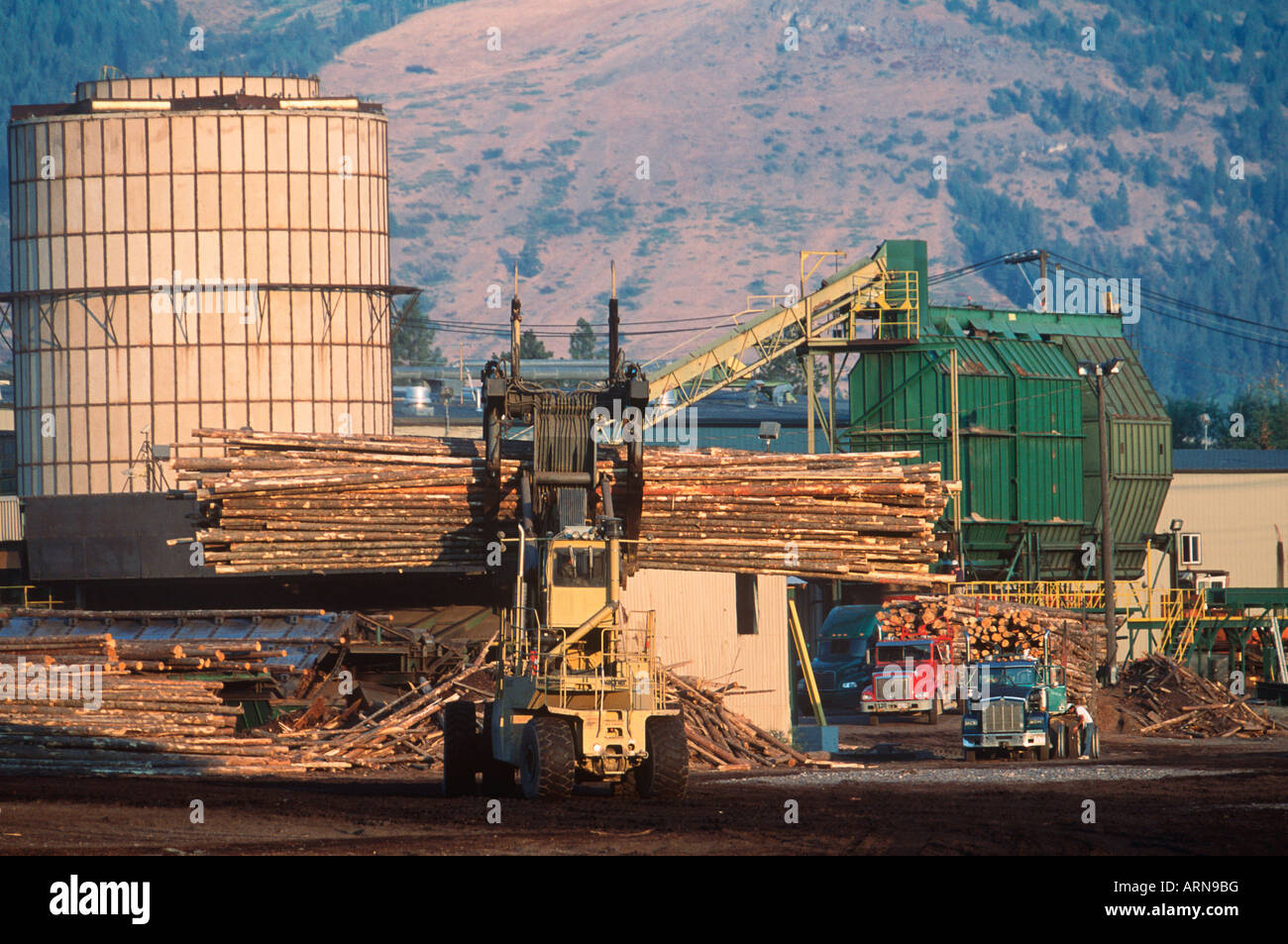 Grand Forks , lumber mill, offloading logging trucks, British Columbia, Canada. Stock Photo
