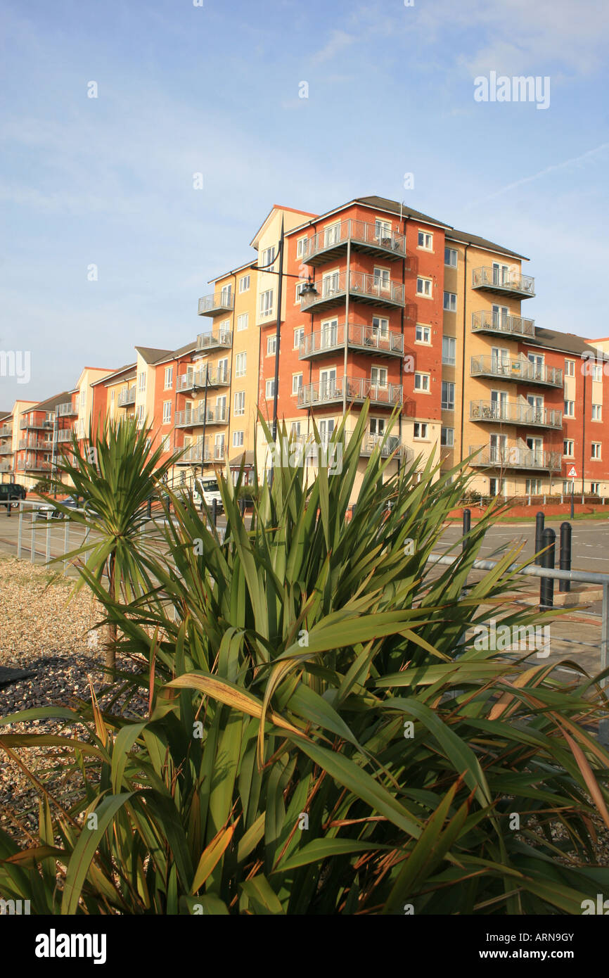 Flats at Barry Waterfront Stock Photo Alamy