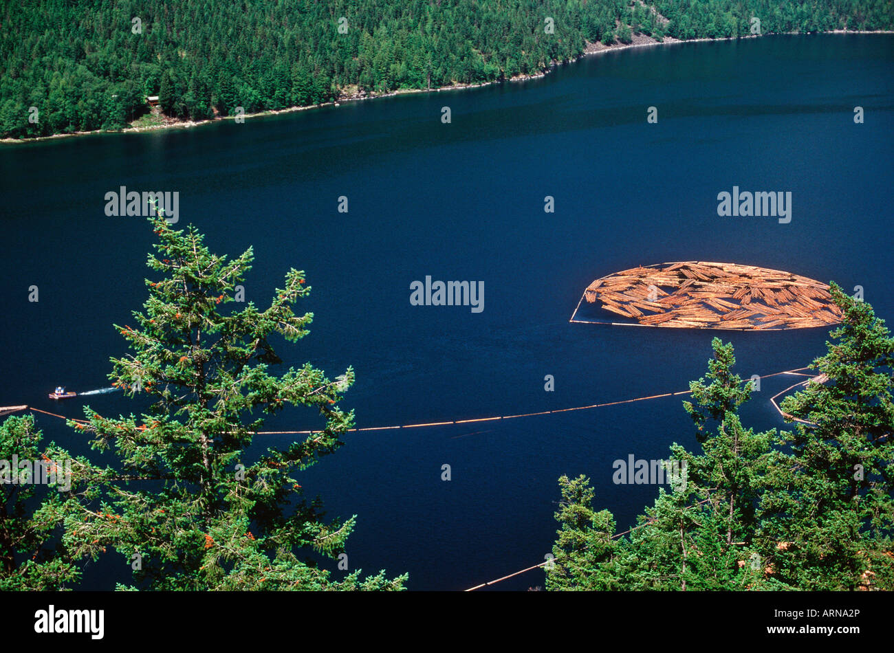 Slocan Lake, West Kootenays, log boom, British Columbia, Canada. Stock Photo