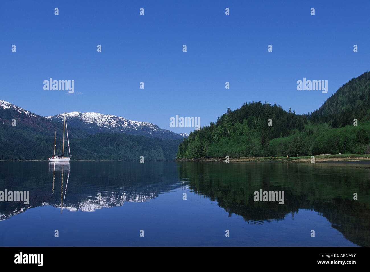 Khutzeymateen Inlet, Ecotour Sailboat, British Columbia, Canada Stock 