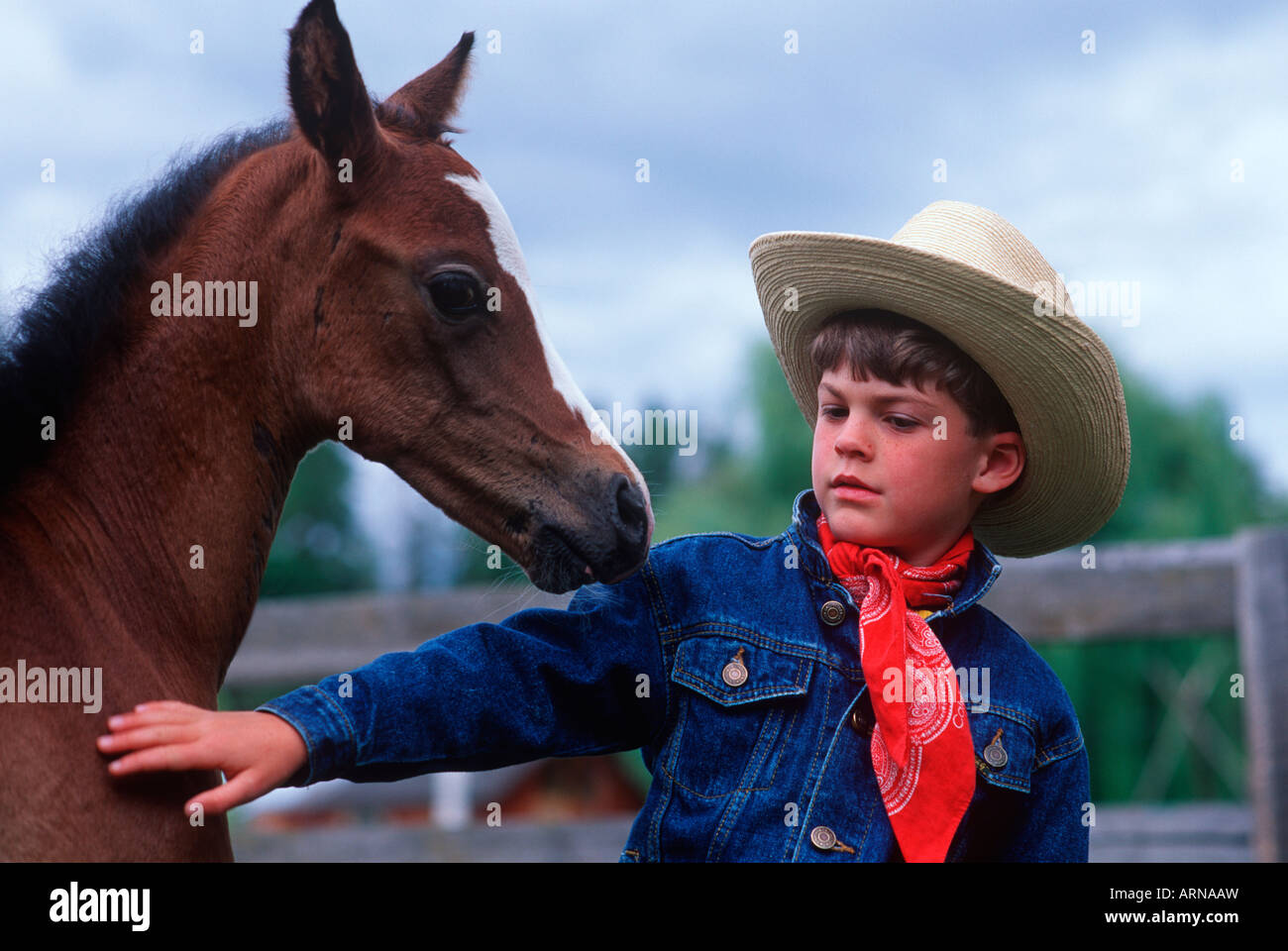 Cowboy gear with small colt, British Columbia, Canada. Stock Photo