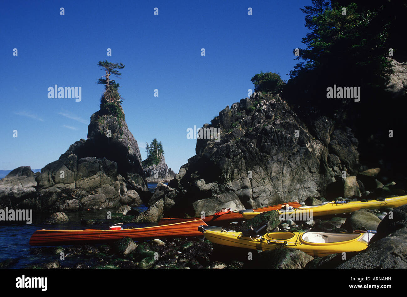 Austin island with canoes and kayaks hires stock photography and