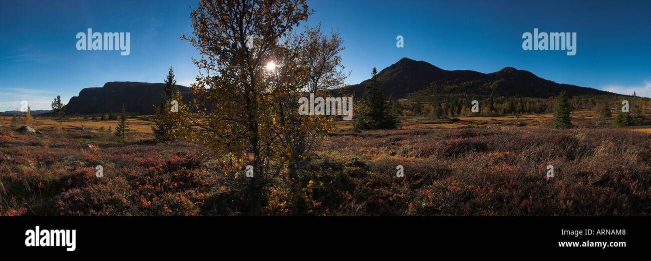 Autumnal landscape (panoramic view), Norefjell, County Buskerud, Norway Stock Photo