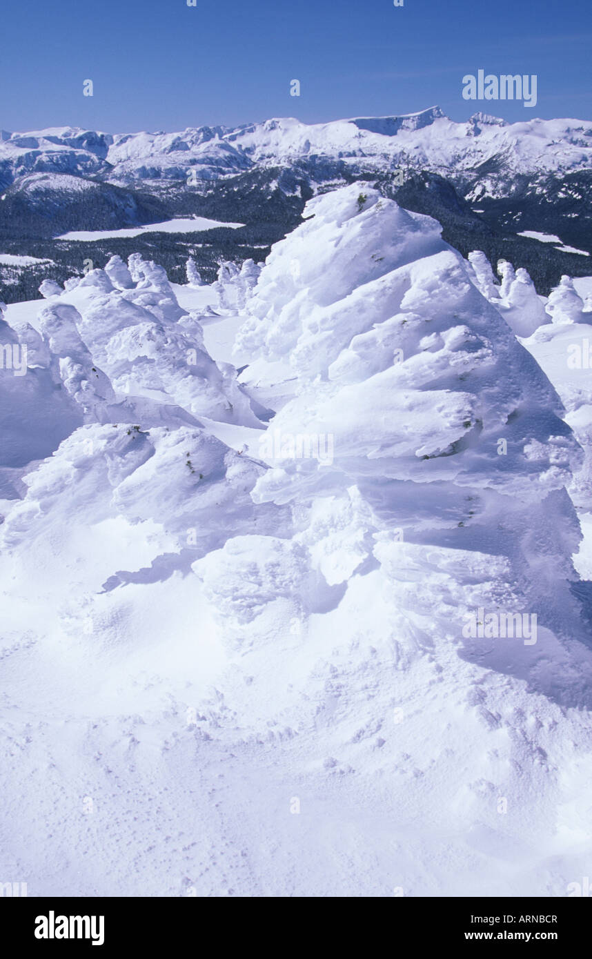 Mount Washington ski resort. Mt Albert Edward overlook, Vancouver