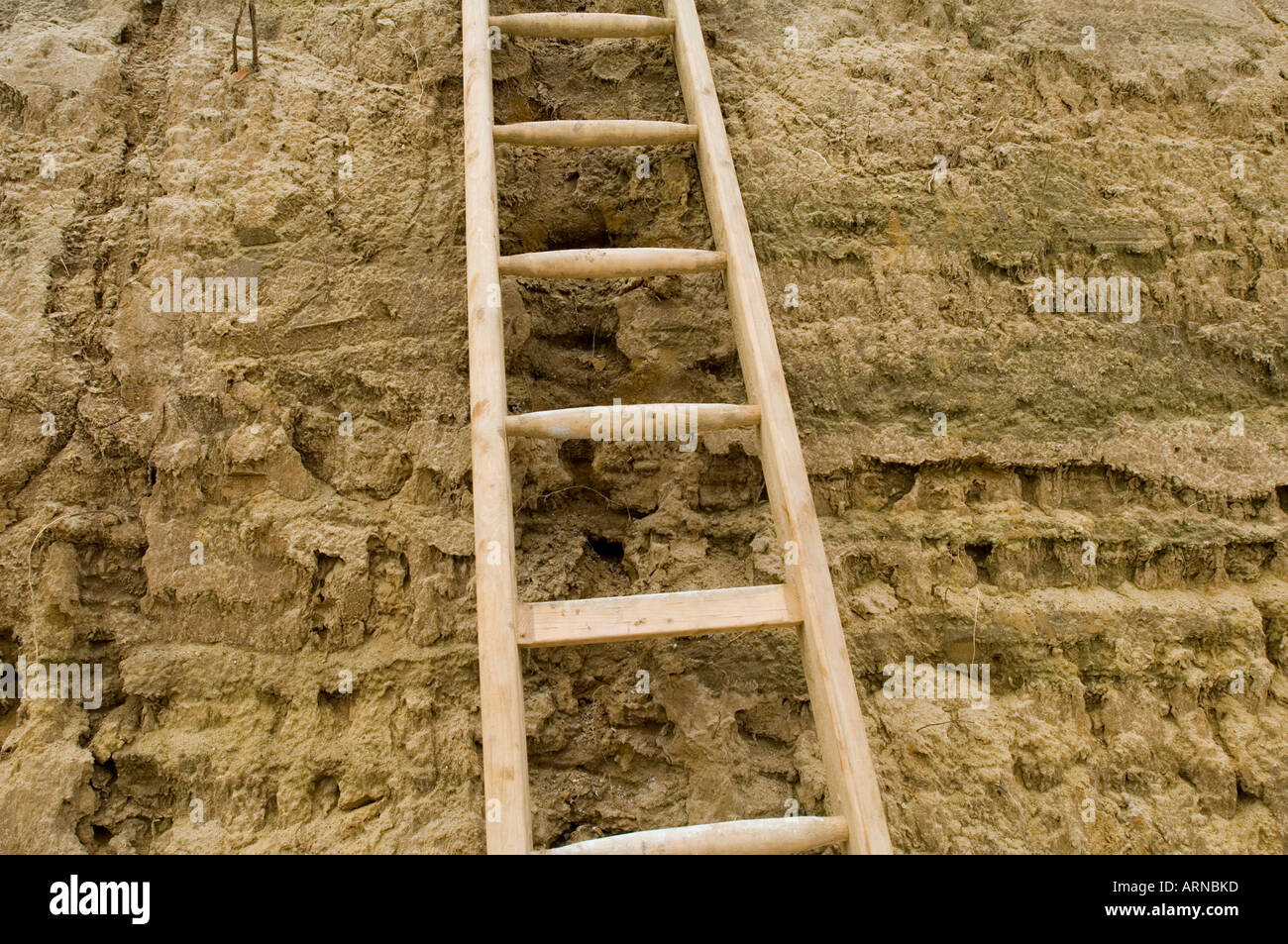 Ladders shoots hires stock photography and images Alamy