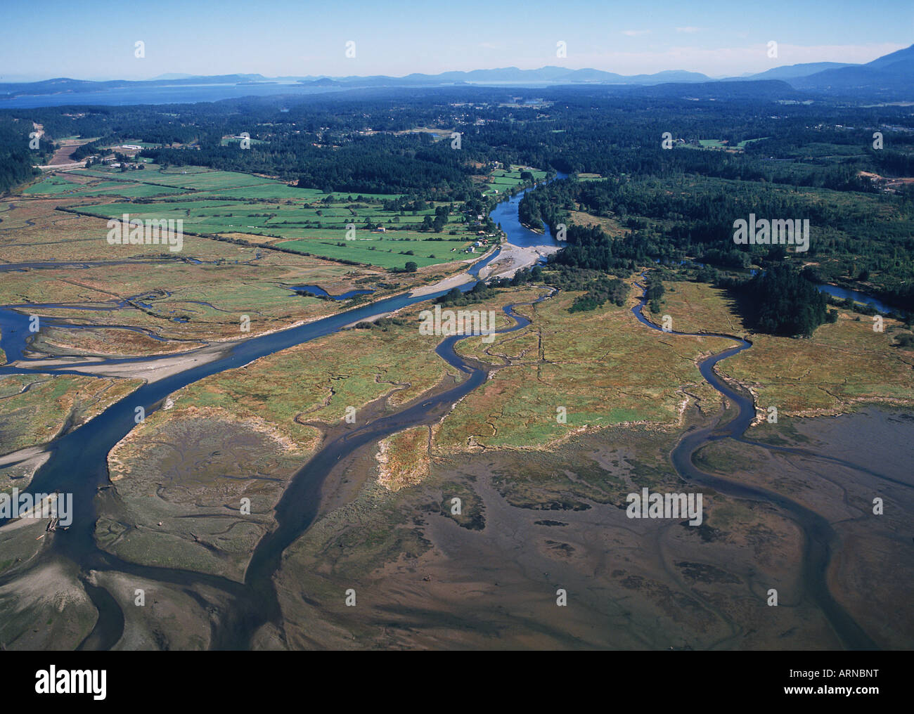 Aerial view of Nanaimo River Estuary, Vancouver Island, British