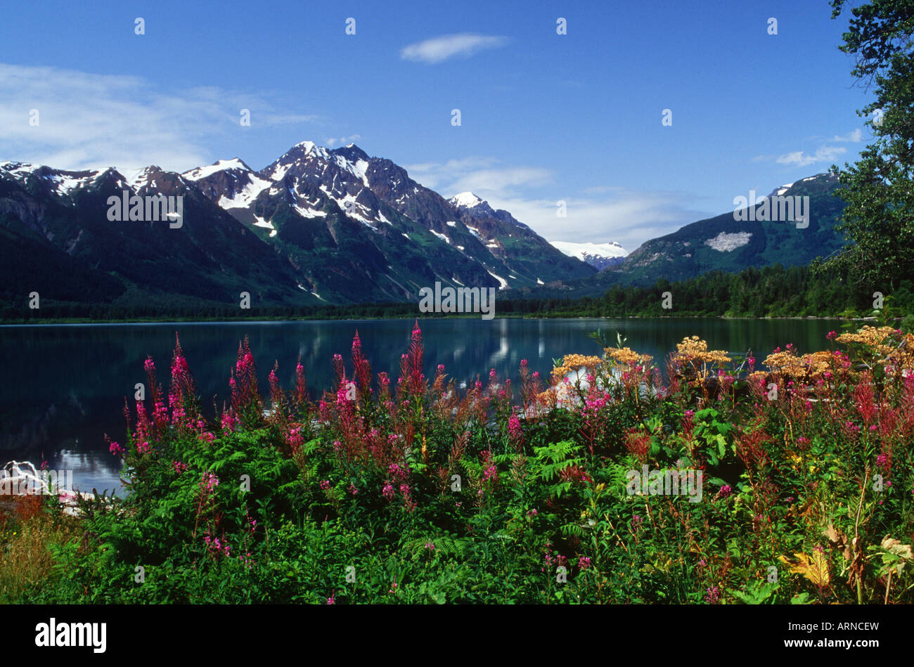 Meziadin lake in northern bc hires stock photography and images Alamy